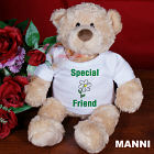 Someone Special Plush Teddy Bear TB1579x